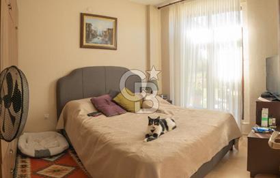 Urla Uzunkuyu'da Satılık 9036 m² içinde Tek Katlı Taş Çiftlik Evi 