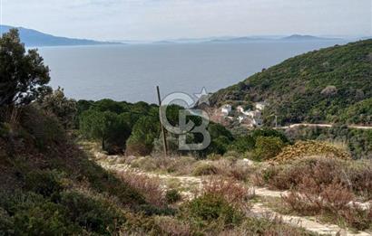 Balıkesir Marmara adası Asmalı satılık 7 dönüm tarla zeytinlik
