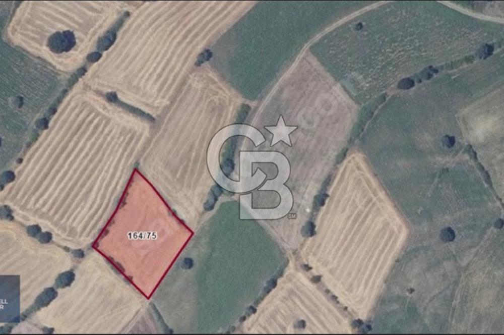 ÇANAKKALE BİGA'DA HESAPLI VE DOĞRU YATIRIM 2779 M2 SATILIK TARLA
