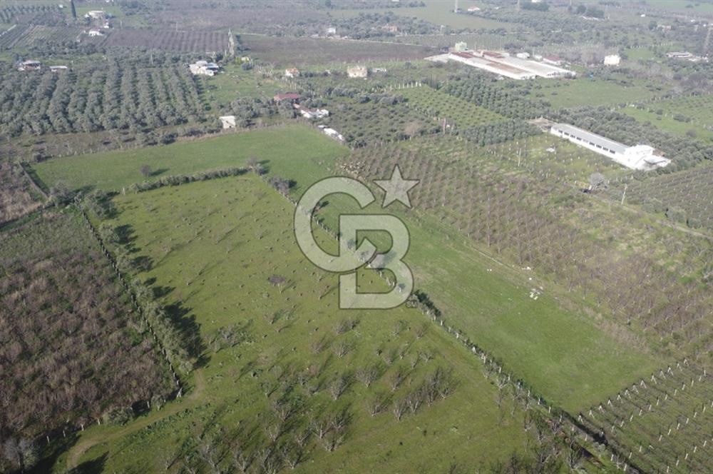 İZMİR KEMALPAŞA ARMUTLU'DA ANA YOLA 2 PARSEL  TEK TAPU SATILIK 