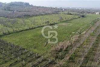 İZMİR KEMALPAŞA ARMUTLU'DA ANA YOLA 2 PARSEL  TEK TAPU SATILIK 