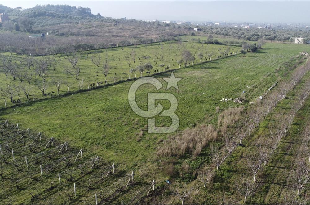 İZMİR KEMALPAŞA ARMUTLU'DA ANA YOLA 2 PARSEL  TEK TAPU SATILIK 