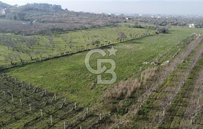 İZMİR KEMALPAŞA ARMUTLU'DA ANA YOLA 2 PARSEL  TEK TAPU SATILIK 