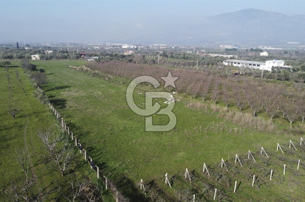 İZMİR KEMALPAŞA ARMUTLU'DA ANA YOLA 2 PARSEL  TEK TAPU SATILIK 