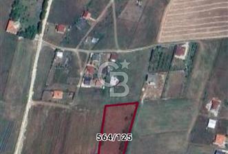 BİNKİLİC TATEK TAPU SATILIK ARAZİ 