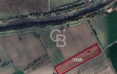İZMİR KINIK SUCAHLI DA 4655 M2 SATILIK YATIRIMLIK FIRSAT TARLA
