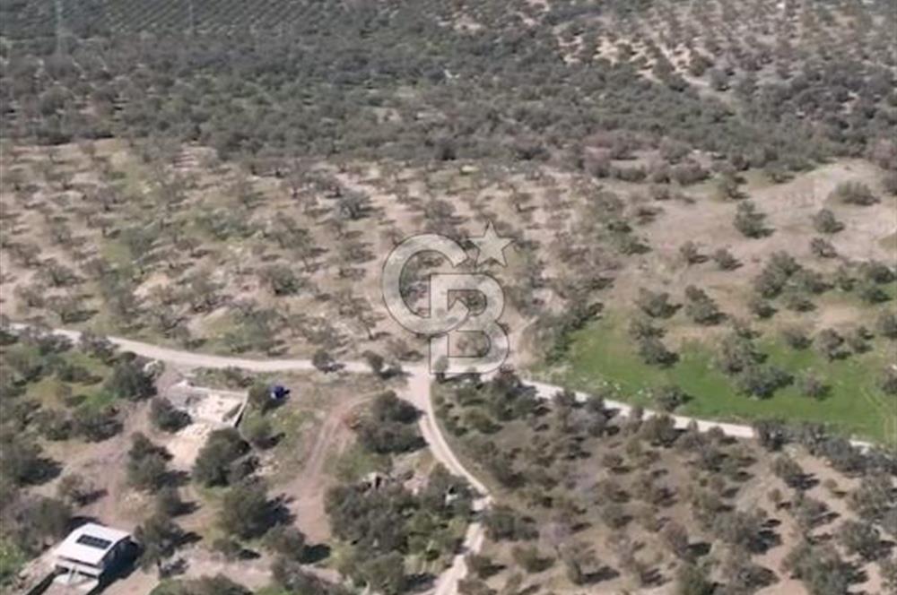 İNCİRLİK RUM DERESİ MEVKİİ 250M2 DENİZ MANZARALI HOBİ BAHÇESİ