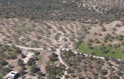 İNCİRLİK RUM DERESİ MEVKİİ 250M2 DENİZ MANZARALI HOBİ BAHÇESİ
