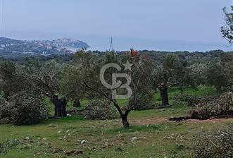 İNCİRLİK RUM DERESİ MEVKİİ 250M2 DENİZ MANZARALI HOBİ BAHÇESİ