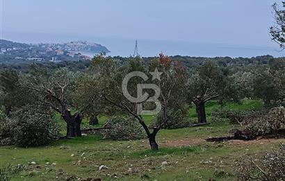 İNCİRLİK RUM DERESİ MEVKİİ 250M2 DENİZ MANZARALI HOBİ BAHÇESİ