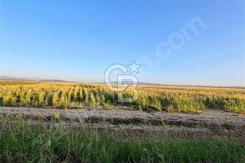 FOÇA YENİ BAĞARASINDA SATILIK 1787M2 HOBİ BAHÇESİ