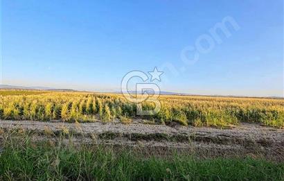 FOÇA YENİ BAĞARASINDA SATILIK 1787M2 HOBİ BAHÇESİ