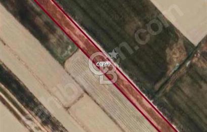 FOÇA YENİ BAĞARASINDA SATILIK 1787M2 HOBİ BAHÇESİ