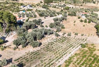 Urla Barbarosta 4 Mevsim Yaşanabilir Sertifikalı Bağ ve Tarla