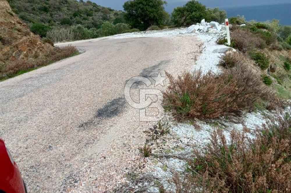 Balıkesir Marmara adası Asmalı satılık 7 dönüm tarla zeytinlik