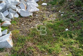 Balıkesir Marmara adası Asmalı satılık 7 dönüm tarla zeytinlik