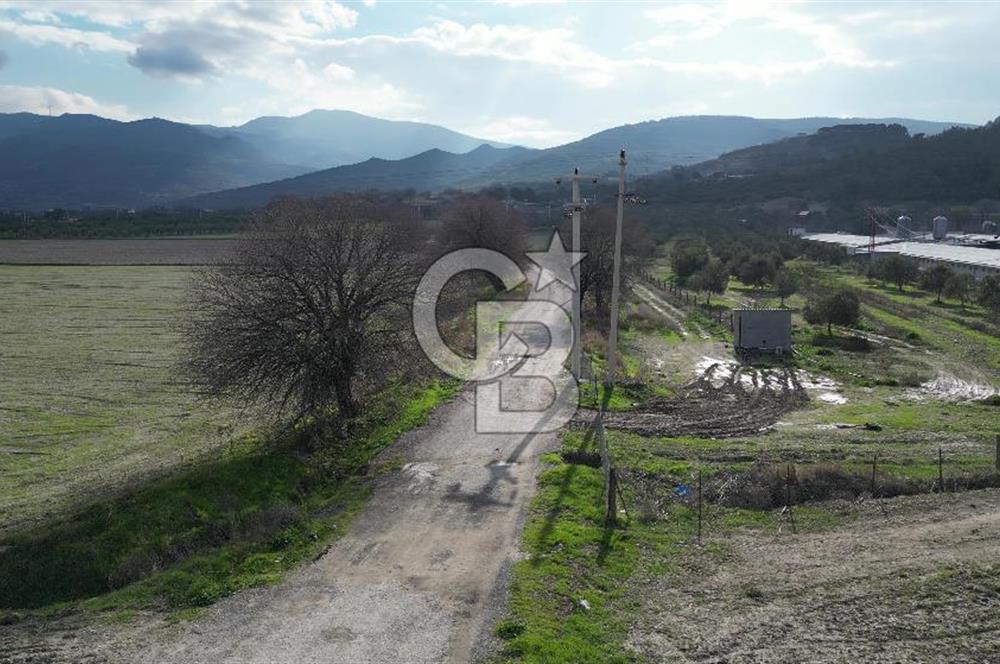 GÜZELHİSARDA SATILIK MUHTEŞEM KONUMLU ARAZİ