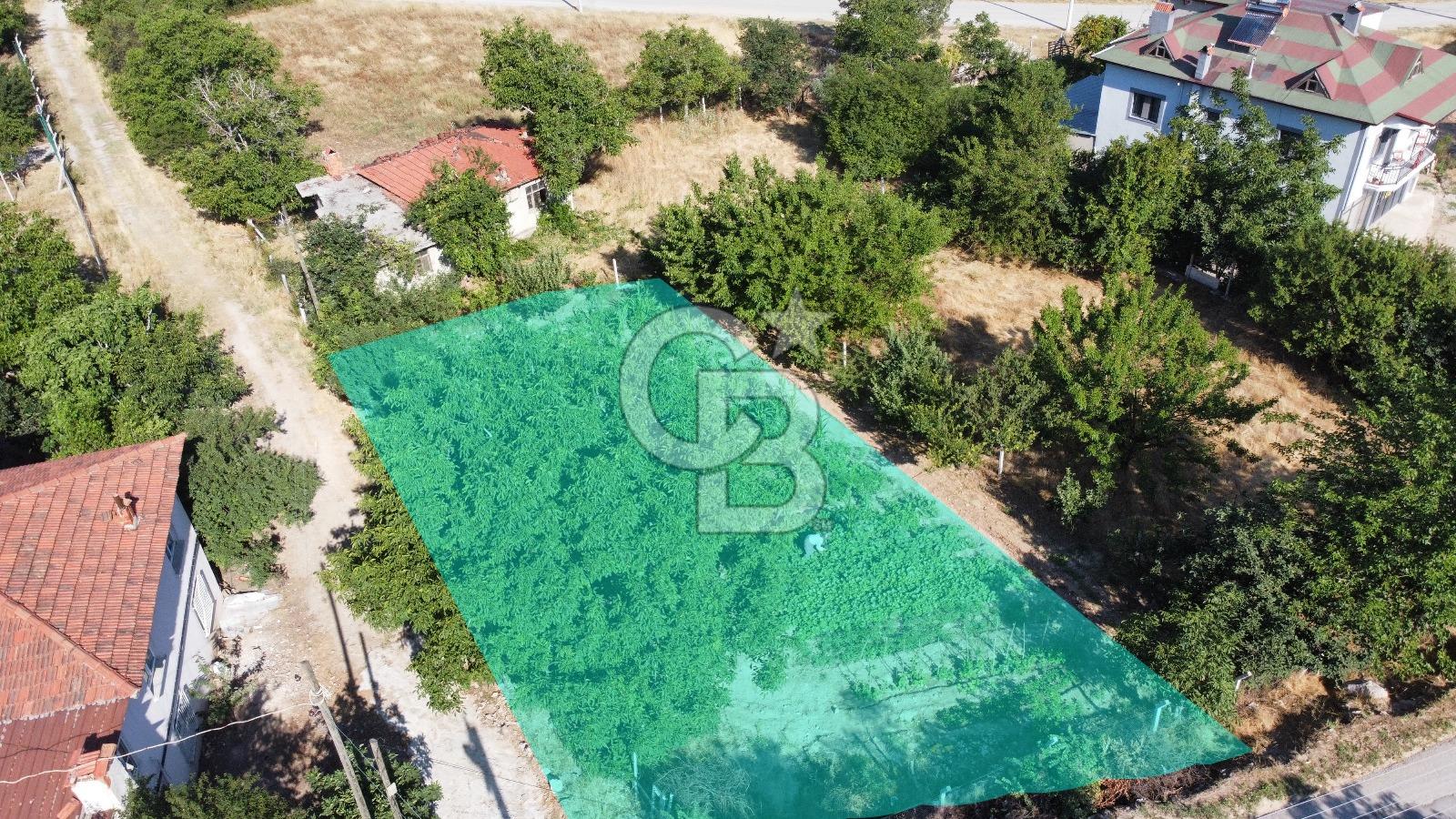 Cankurtaran'da Çok İyi Konumda Satılık Tarla