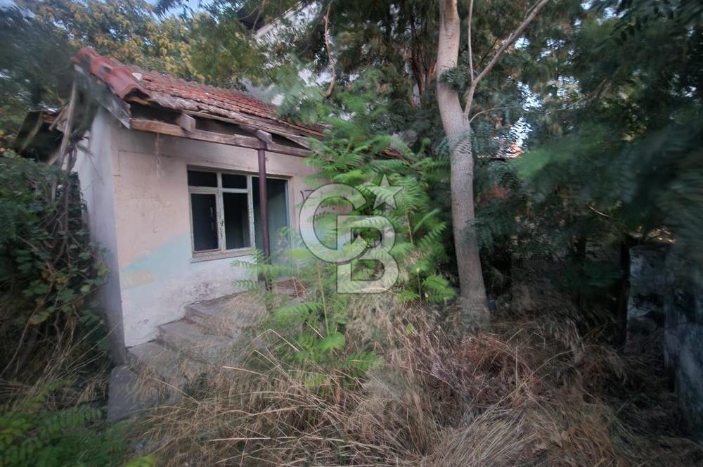 Aydın Germencik Camikebir Mahallesi Satılık Arsa 