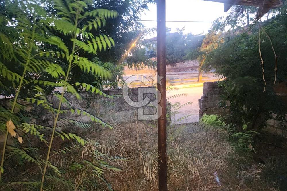 Aydın Germencik Camikebir Mahallesi Satılık Arsa 