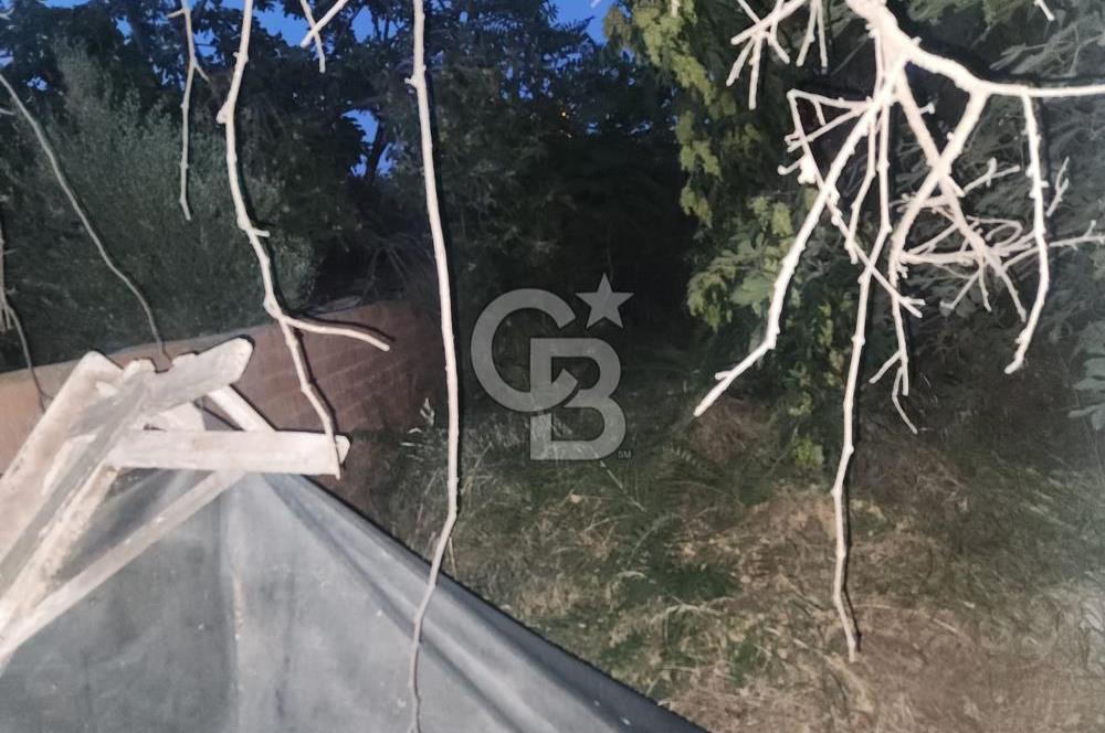 Aydın Germencik Camikebir Mahallesi Satılık Arsa 