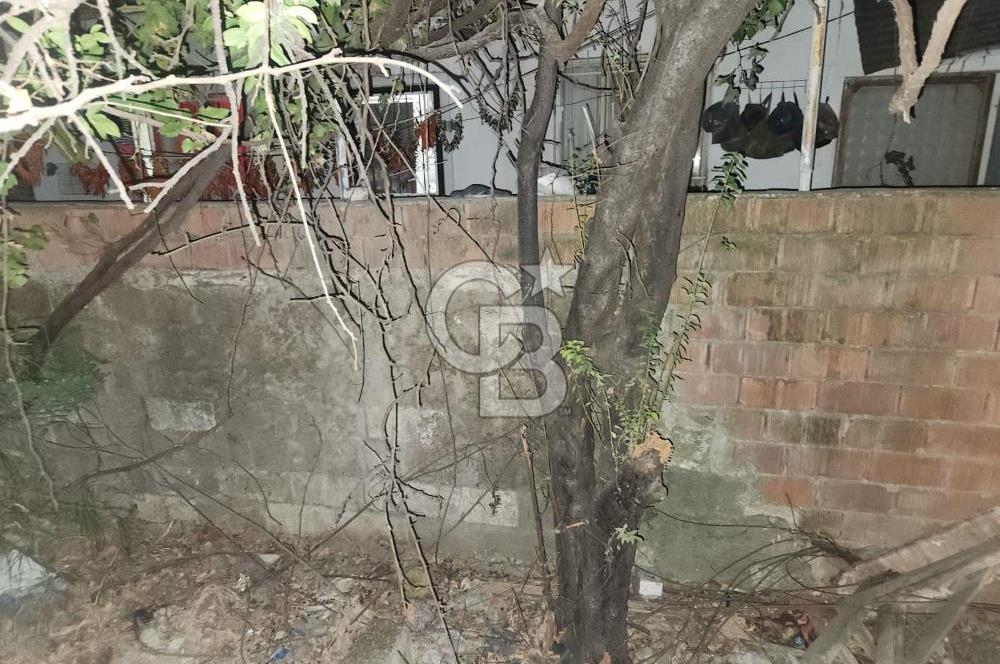 Aydın Germencik Camikebir Mahallesi Satılık Arsa 