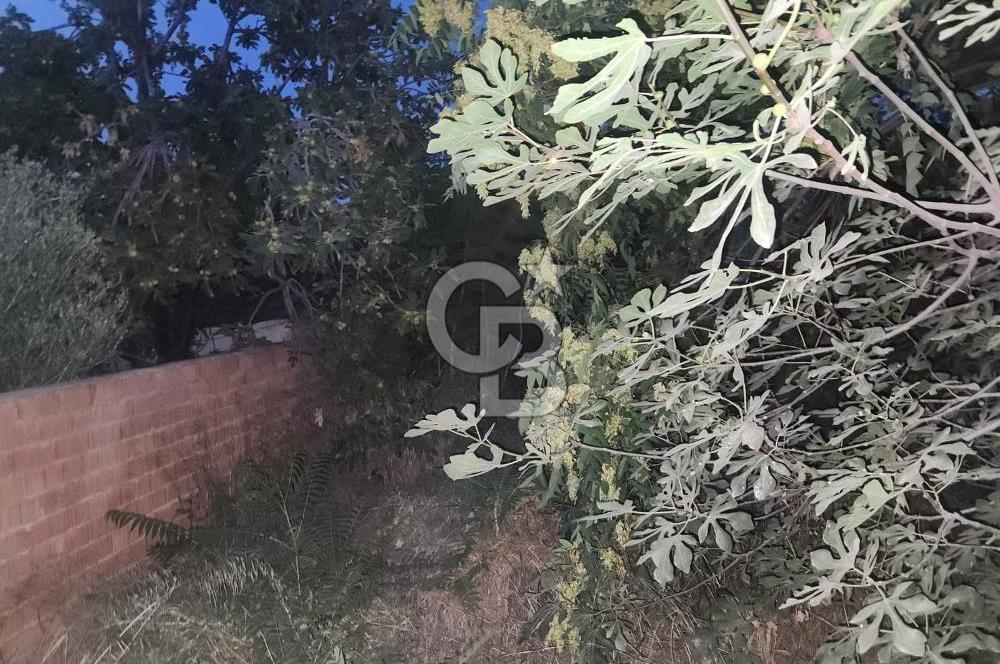 Aydın Germencik Camikebir Mahallesi Satılık Arsa 