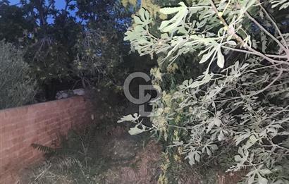 Aydın Germencik Camikebir Mahallesi Satılık Arsa 