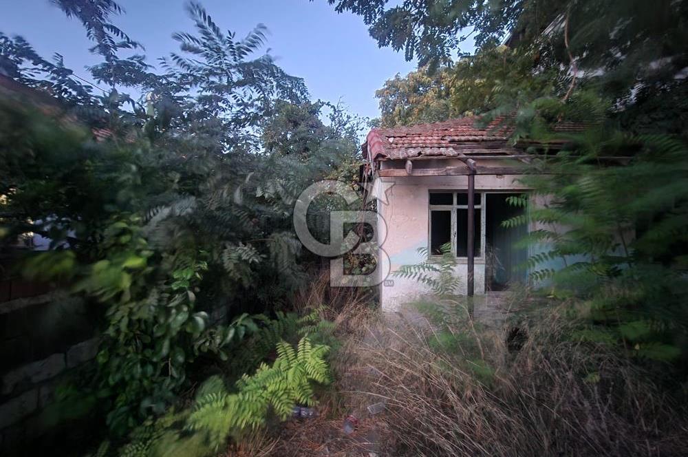 Aydın Germencik Camikebir Mahallesi Satılık Arsa 