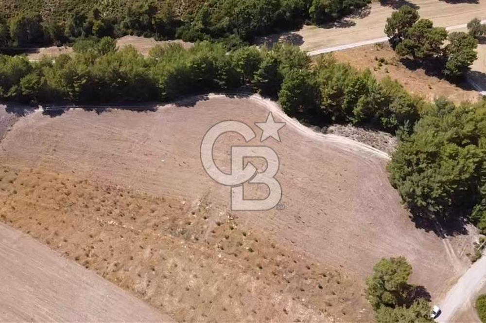 CB GİZ'DEN SEYDİKEMER KAYADİBİ'NDE SATILIK ARAZİ