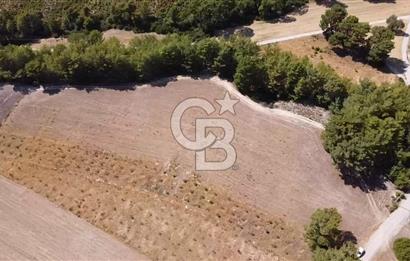 CB GİZ'DEN SEYDİKEMER KAYADİBİ'NDE SATILIK ARAZİ