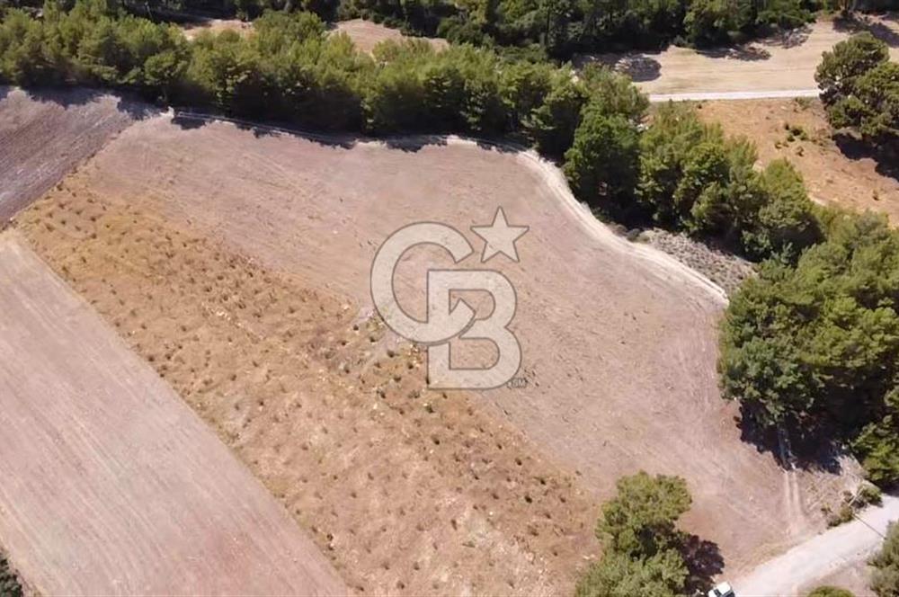 CB GİZ'DEN SEYDİKEMER KAYADİBİ'NDE SATILIK ARAZİ