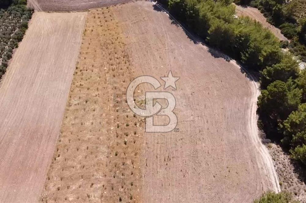 CB GİZ'DEN SEYDİKEMER KAYADİBİ'NDE SATILIK ARAZİ