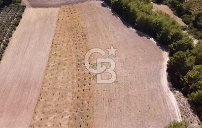 CB GİZ'DEN SEYDİKEMER KAYADİBİ'NDE SATILIK ARAZİ