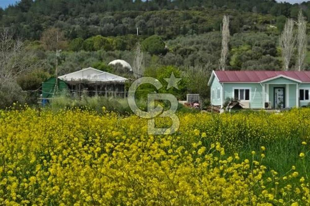 SATILIK EŞSİZ DOĞA İÇİNDE YATIRIMLIK ARAZİ SEFERİHİSAR TURGUT