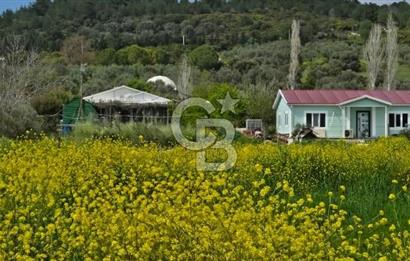 SATILIK EŞSİZ DOĞA İÇİNDE YATIRIMLIK ARAZİ SEFERİHİSAR TURGUT