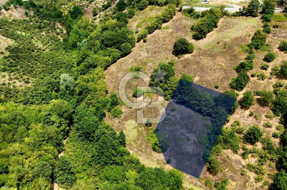 Kenan Köse'den Atakum Kurugökçe'de Satılık 1000 m2 Tarla