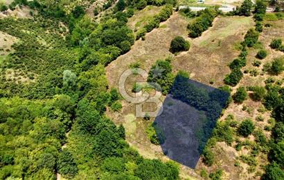 Kenan Köse'den Atakum Kurugökçe'de Satılık 1000 m2 Tarla