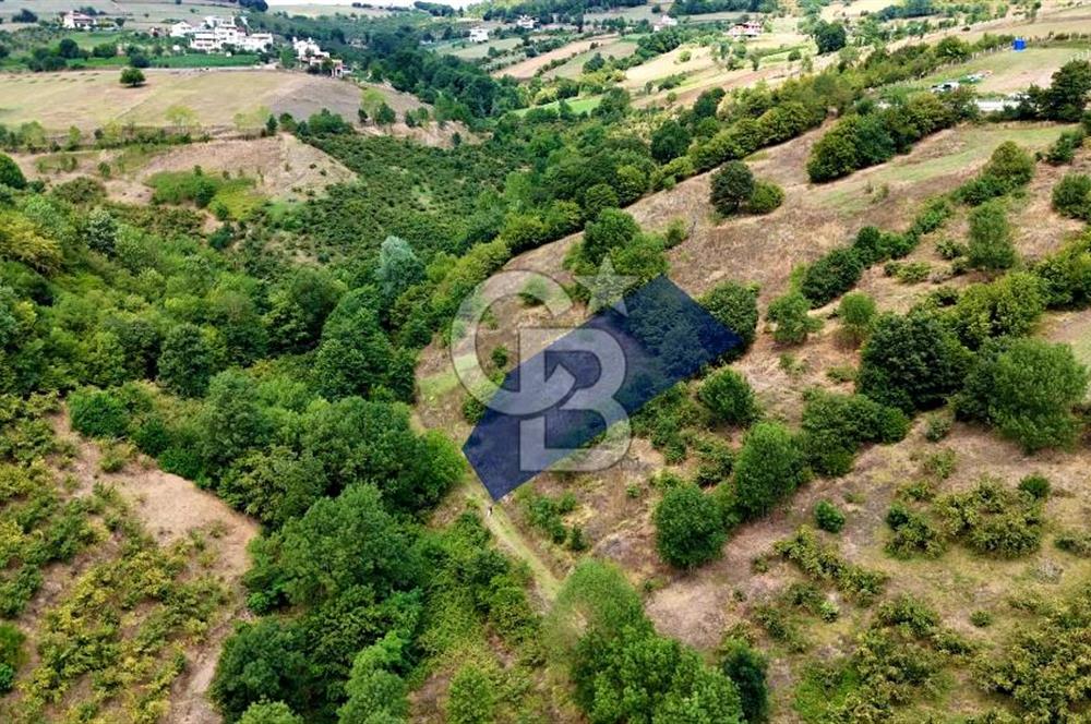 Kenan Köse'den Atakum Kurugökçe'de Satılık 1000 m2 Tarla