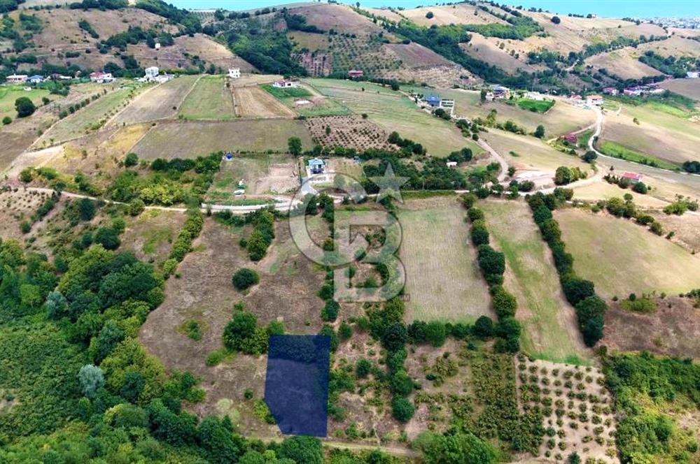 Kenan Köse'den Atakum Kurugökçe'de Satılık 1000 m2 Tarla