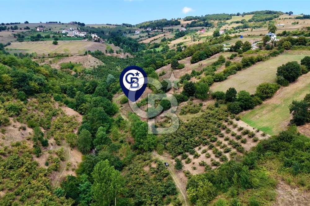 Kenan Köse'den Atakum Kurugökçe'de Satılık 1000 m2 Tarla