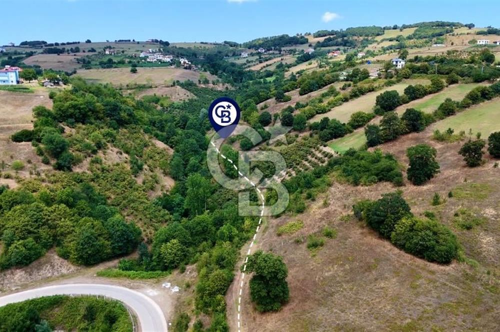 Kenan Köse'den Atakum Kurugökçe'de Satılık 1000 m2 Tarla
