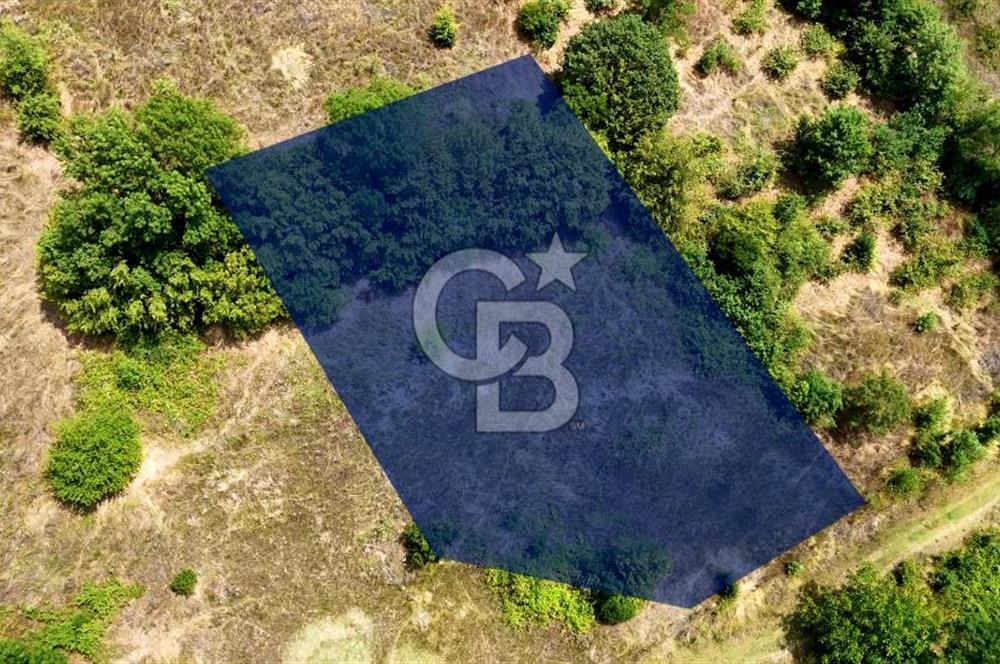Kenan Köse'den Atakum Kurugökçe'de Satılık 1000 m2 Tarla