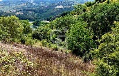 Kenan Köse'den Atakum Kurugökçe'de Satılık 1000 m2 Tarla