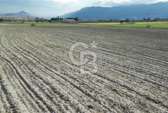 ALİAĞA GÜZELHİSAR'DA EN PRESTİJLİ KONUMDA 15.200M2 SATILIK TARLA