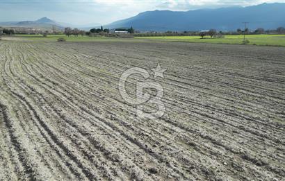 ALİAĞA GÜZELHİSAR'DA EN PRESTİJLİ KONUMDA 15.200M2 SATILIK TARLA