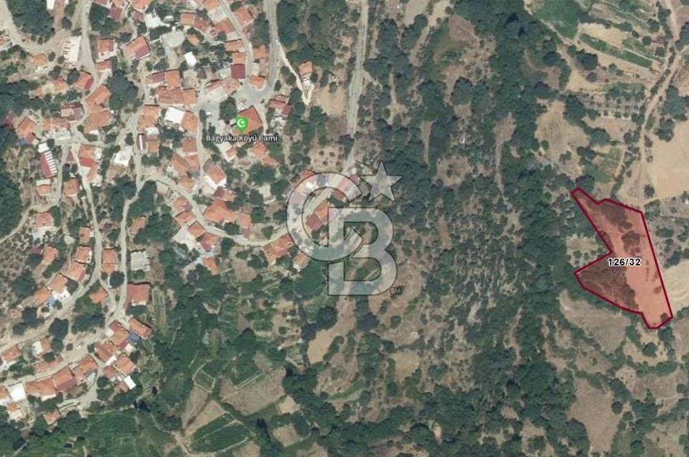 Muğla Çatakbağyaka Mahallesi'nde 3.260 m² Yatırımlık Arazi