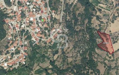 Muğla Çatakbağyaka Mahallesi'nde 3.260 m² Yatırımlık Arazi