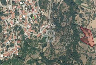 Muğla Çatakbağyaka Mahallesi'nde 3.260 m² Yatırımlık Arazi
