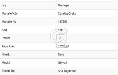 Muğla Çatakbağyaka Mahallesi'nde 3.260 m² Yatırımlık Arazi
